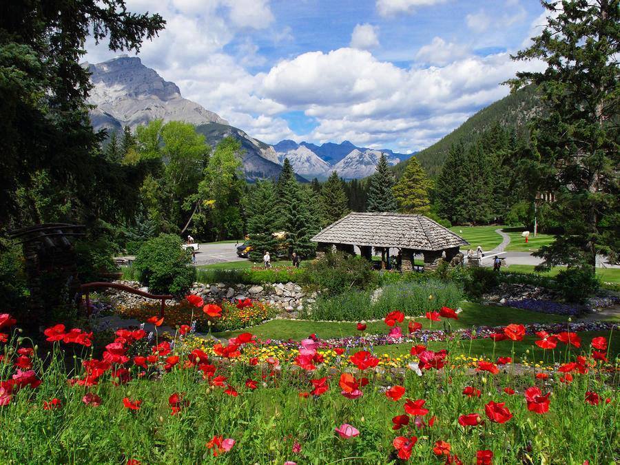 12650944_798908350237216_1747892781571612292_n